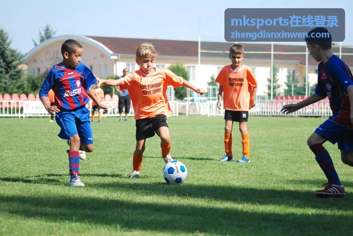 mksports在线登录 功能服务界面示意